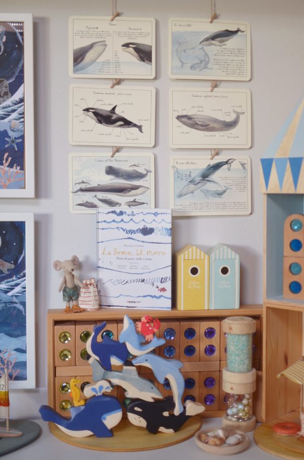 PlayKitBaboo - La forma del mare