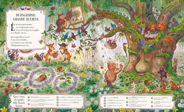 Il bosco della Grande Quercia