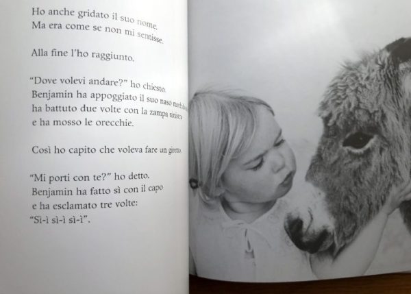 Il mio asinello Benjamin e io