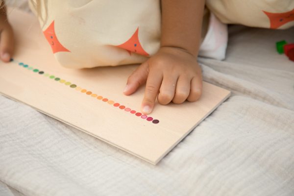 Scatola di classificazione colore MIS AND MATCH Grapat + CARTE BABOO