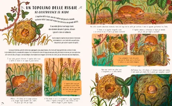 Piano piano... nel piccolo mondo. 20 Storie