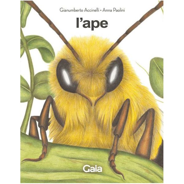 L'ape e il fantasma dell'alveare