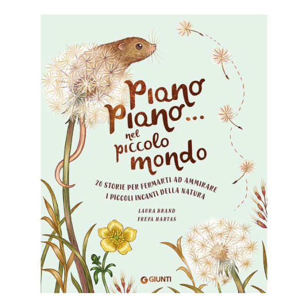 Piano piano... nel piccolo mondo. 20 Storie