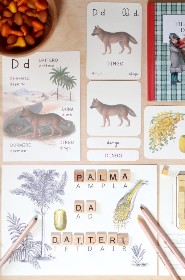 ABECEDARIO Baboo + schede attività PDF COMPLETO
