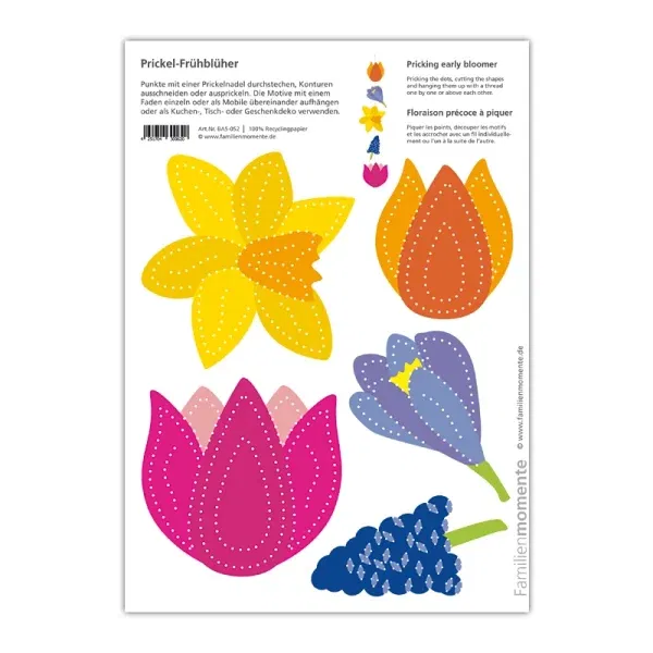 Cartolina A5 da punzonare Bloomer