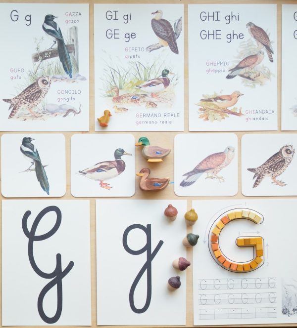 ABECEDARIO Baboo lettera G PDF