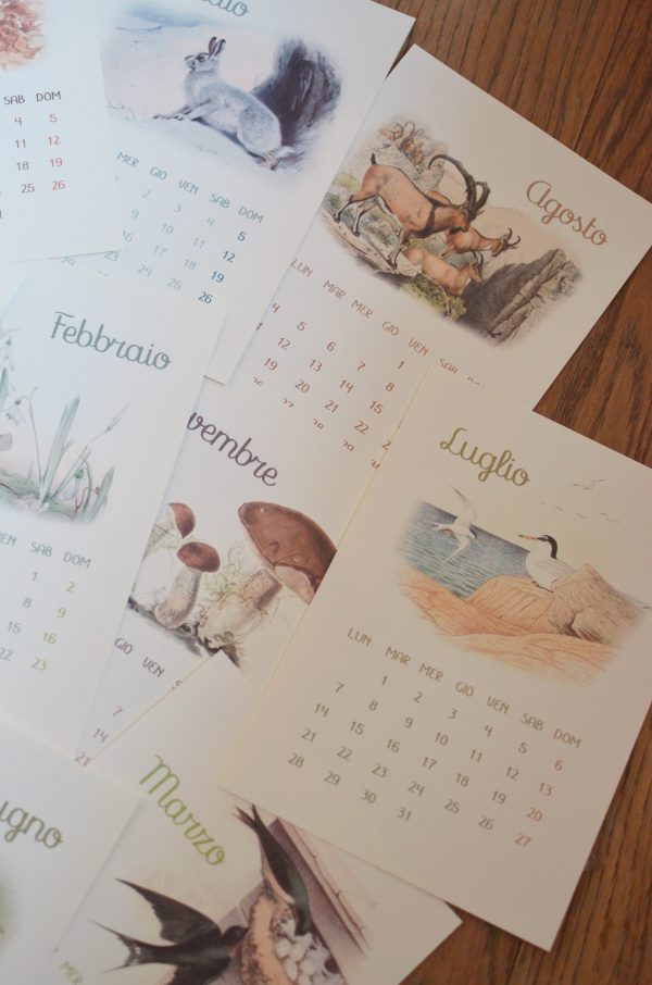 Kit angolo di stagione e carte Baboo