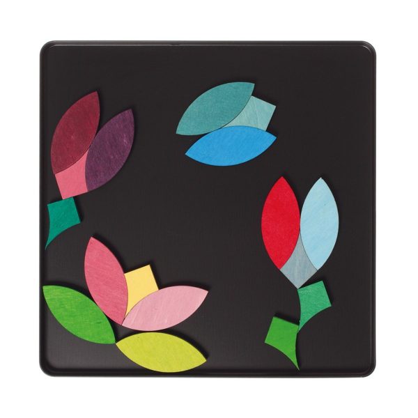Puzzle magnetico Circles Grimm's