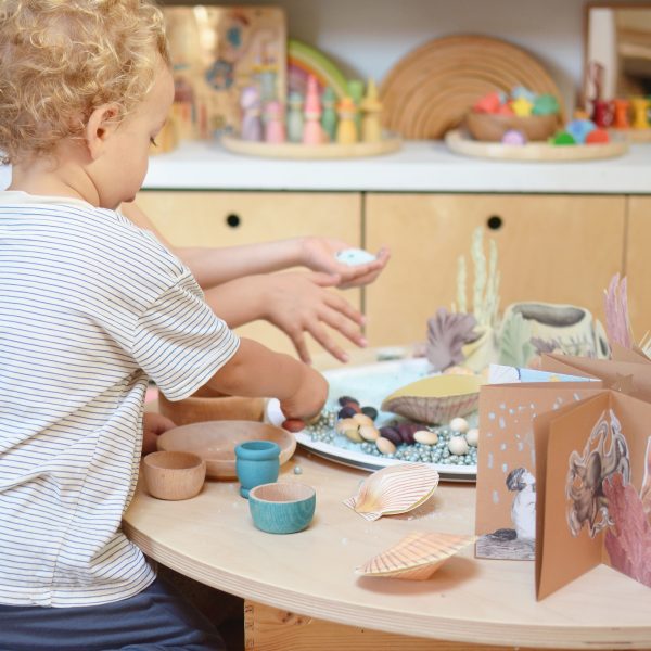 PlayKitBaboo - Alisea e il dono segreto