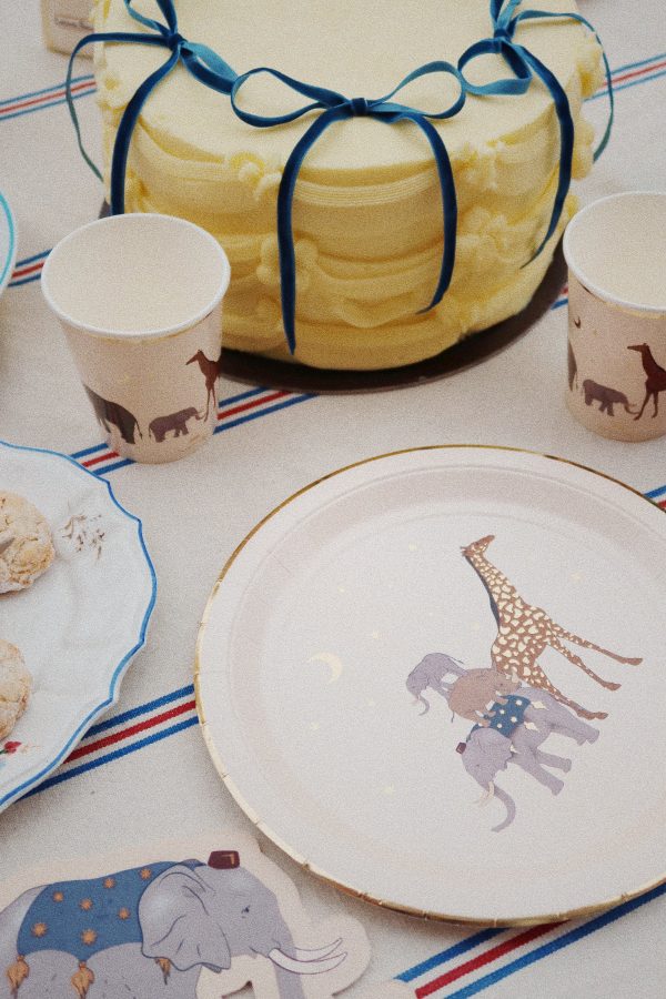 Kit decorazioni compleanno Safari Konges sløjd
