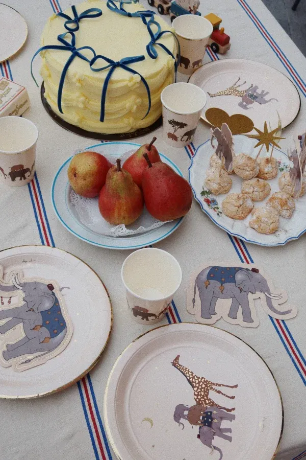 Kit decorazioni compleanno Safari Konges sløjd