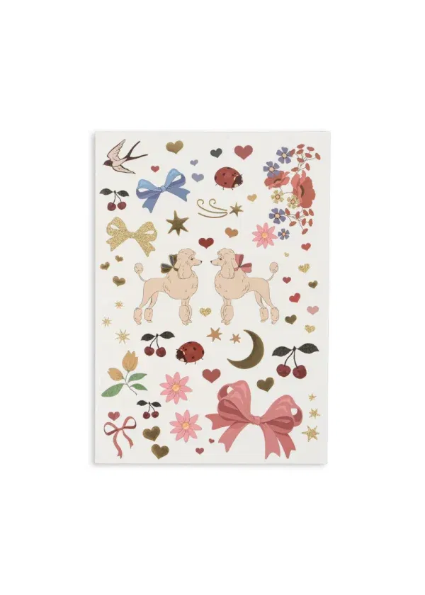 Set 30 tatuaggi Rainbow mix Konges sløjd