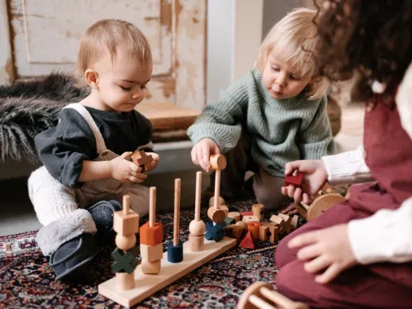 Impilabile Montessori forme e colori XL WOODEN STORY