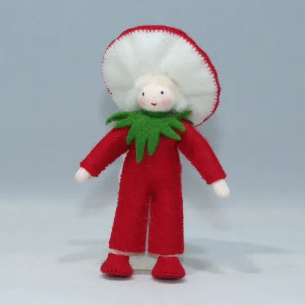Set 5 figure Waldorf Fly Agaric family Ambro-dolls