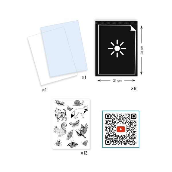 Set artistico CIANOTIPIA Starter kit Djeco