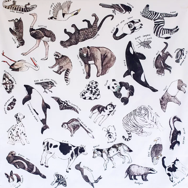 Telo gioco ANIMALI DEL MONDO 100x100 cm Wonderie