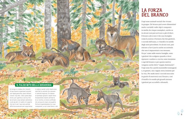 I lupi delle Alpi