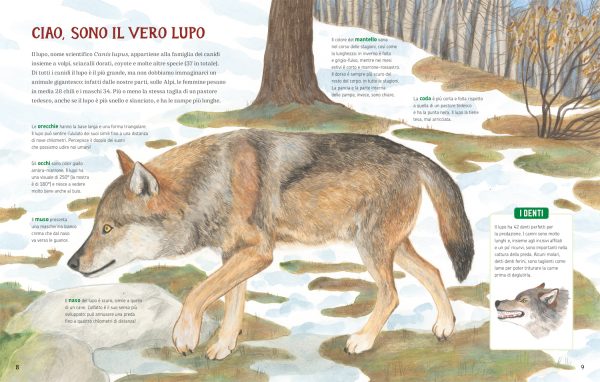 I lupi delle Alpi