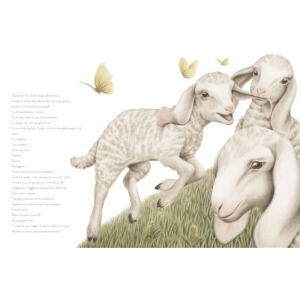 PlayKitBaboo - Primavera