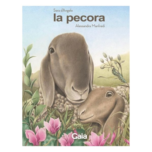 La pecora