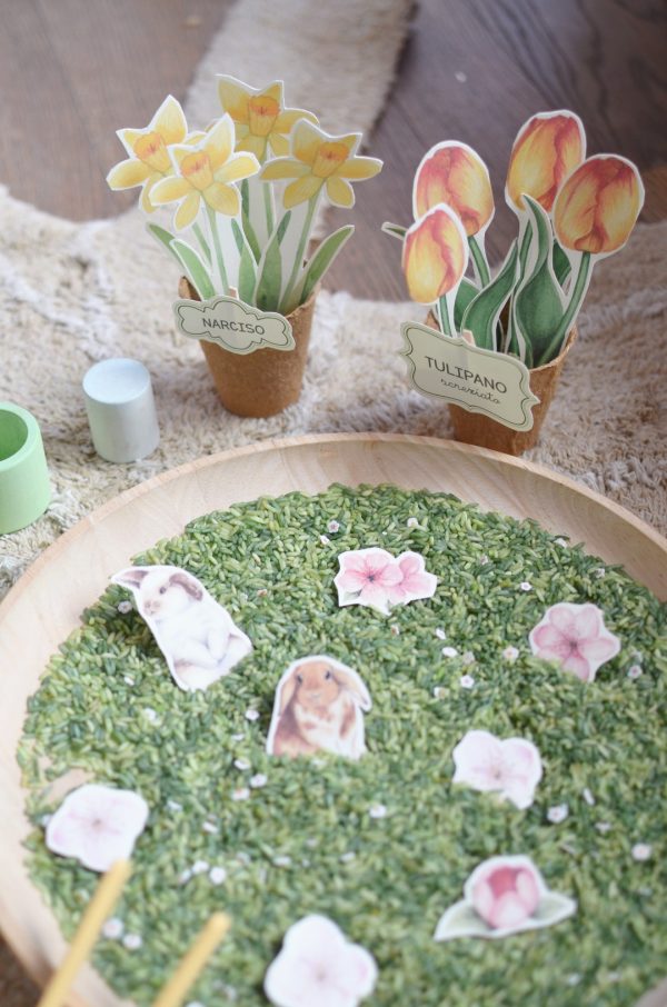 Riso sensoriale prato con margherite 300gr Grennn