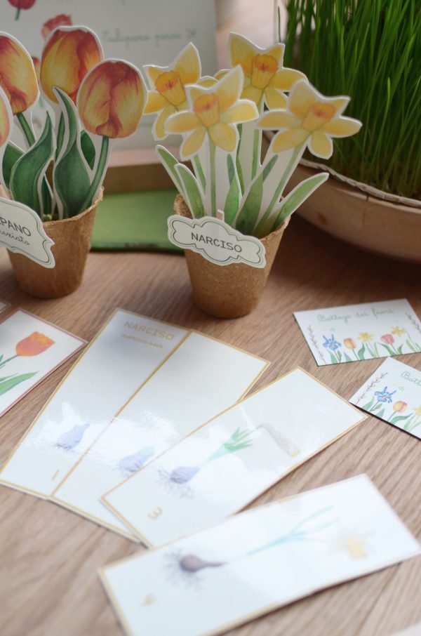 Set 6 vasetti da giardinaggio