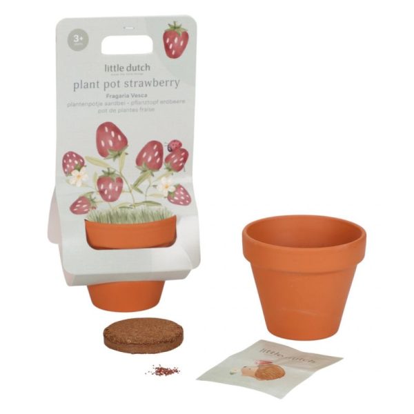 Kit coltivazione vasetto fragole Little Dutch