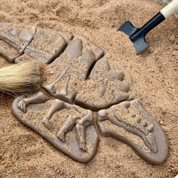 Trova i fossili Pliosauro & Stegosauro Yellow Door