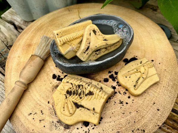 Trova i fossili Pliosauro & Stegosauro Yellow Door