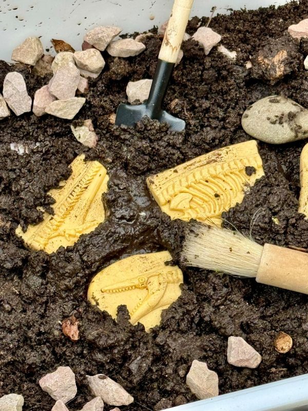 Trova i fossili Pliosauro & Stegosauro Yellow Door