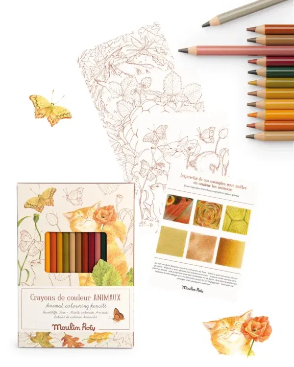 12 matite colori giardino + carte Moulin Roty