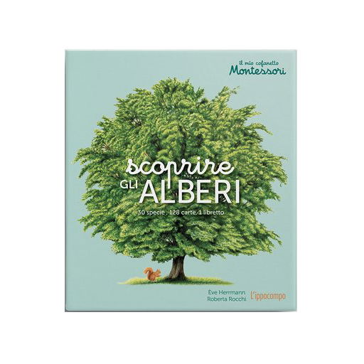 Il mio cofanetto Montessori Scoprire gli alberi