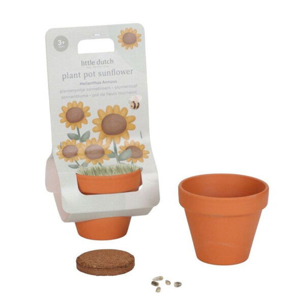Kit coltivazione vasetto girasoli Little Dutch