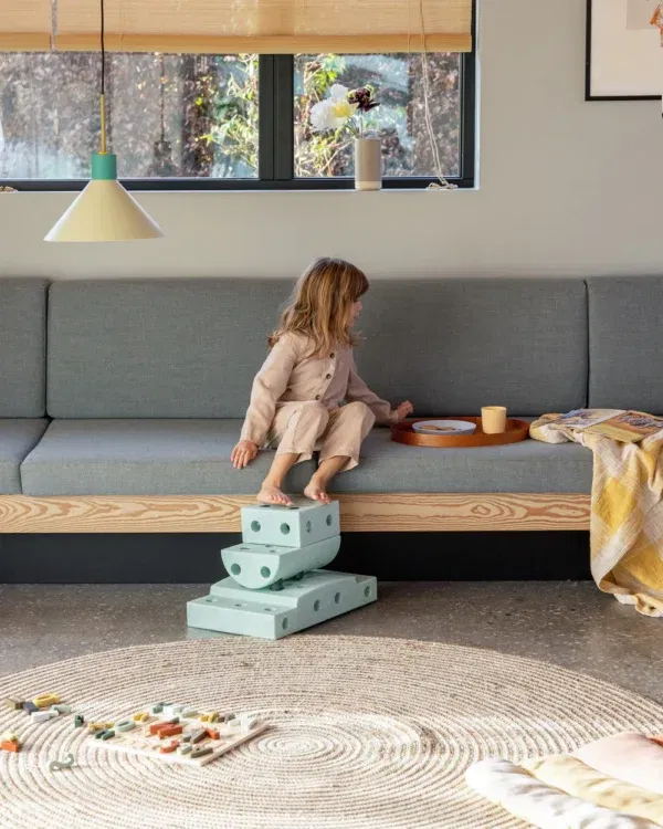 Curiosity Set Mint-Forest MODU