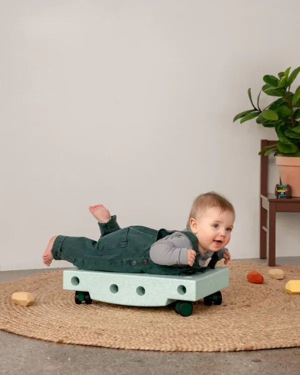 Curiosity Set Mint-Forest MODU