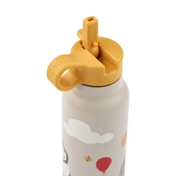 Borraccia in acciaio inossidabile Around the world 350 ml LIEWOOD